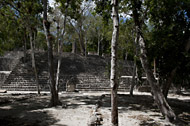 Temple VI in Calakmul's Central Plaza - calakmul mayan ruins,calakmul mayan temple,mayan temple pictures,mayan ruins photos